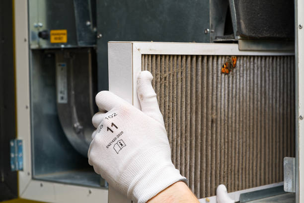 Best Emergency Air Duct Cleaning  in Bothell East, WA